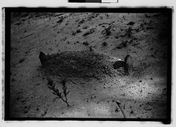 [Thirty-Five 35mm Film Frames on Uncut Roll: Graves and Gravestones, Alabama], Walker Evans (American, St. Louis, Missouri 1903–1975 New Haven, Connecticut), Film negative