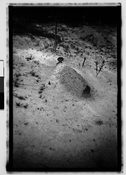 [Thirty-Five 35mm Film Frames on Uncut Roll: Graves and Gravestones, Alabama], Walker Evans (American, St. Louis, Missouri 1903–1975 New Haven, Connecticut), Film negative