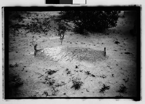 [Thirty-Five 35mm Film Frames on Uncut Roll: Graves and Gravestones, Alabama], Walker Evans (American, St. Louis, Missouri 1903–1975 New Haven, Connecticut), Film negative