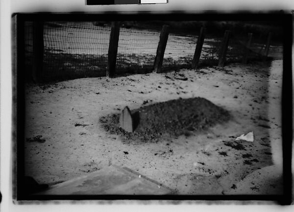 [Thirty-Six 35mm Film Frames on Uncut Roll: Graves and Gravestones, Alabama], Walker Evans (American, St. Louis, Missouri 1903–1975 New Haven, Connecticut), Film negative