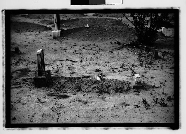 [Thirty-Six 35mm Film Frames on Uncut Roll: Graves and Gravestones, Alabama], Walker Evans (American, St. Louis, Missouri 1903–1975 New Haven, Connecticut), Film negative