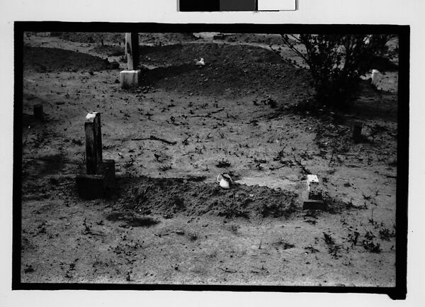 [Thirty-Six 35mm Film Frames on Uncut Roll: Graves and Gravestones, Alabama], Walker Evans (American, St. Louis, Missouri 1903–1975 New Haven, Connecticut), Film negative
