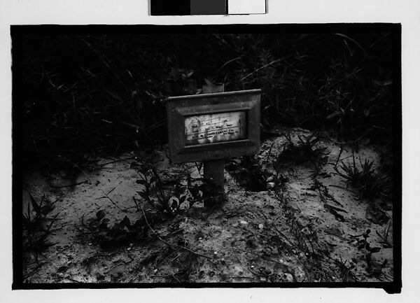 [Thirty-Six 35mm Film Frames on Uncut Roll: Graves and Gravestones, Alabama], Walker Evans (American, St. Louis, Missouri 1903–1975 New Haven, Connecticut), Film negative