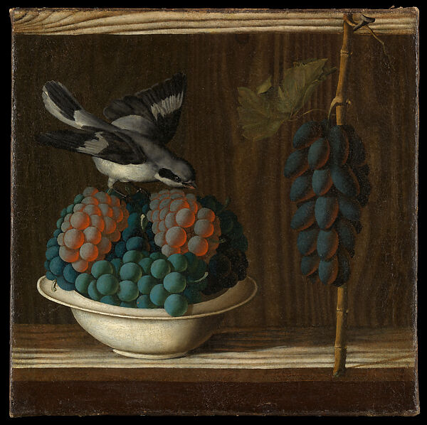 Still Life with Grapes and a Bird, Antonio Leonelli (Antonio da Crevalcore) (Italian, Crevalcore, born by 1443–died by 1525, Bologna (?)), Oil on canvas 