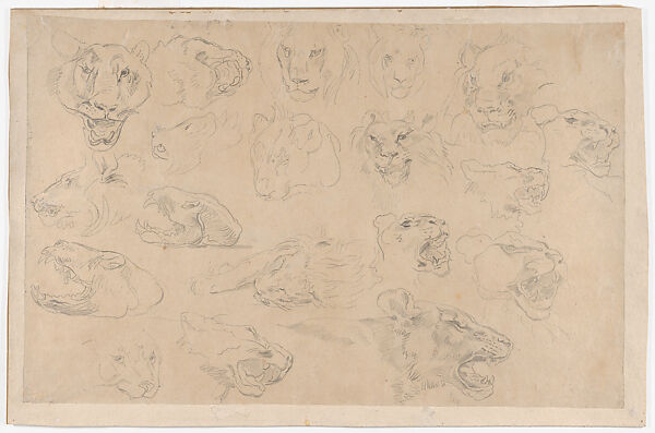 Nineteen Studies of Heads and Skulls of Lions, Eugène Delacroix (French, Charenton-Saint-Maurice 1798–1863 Paris), Graphite on paper 