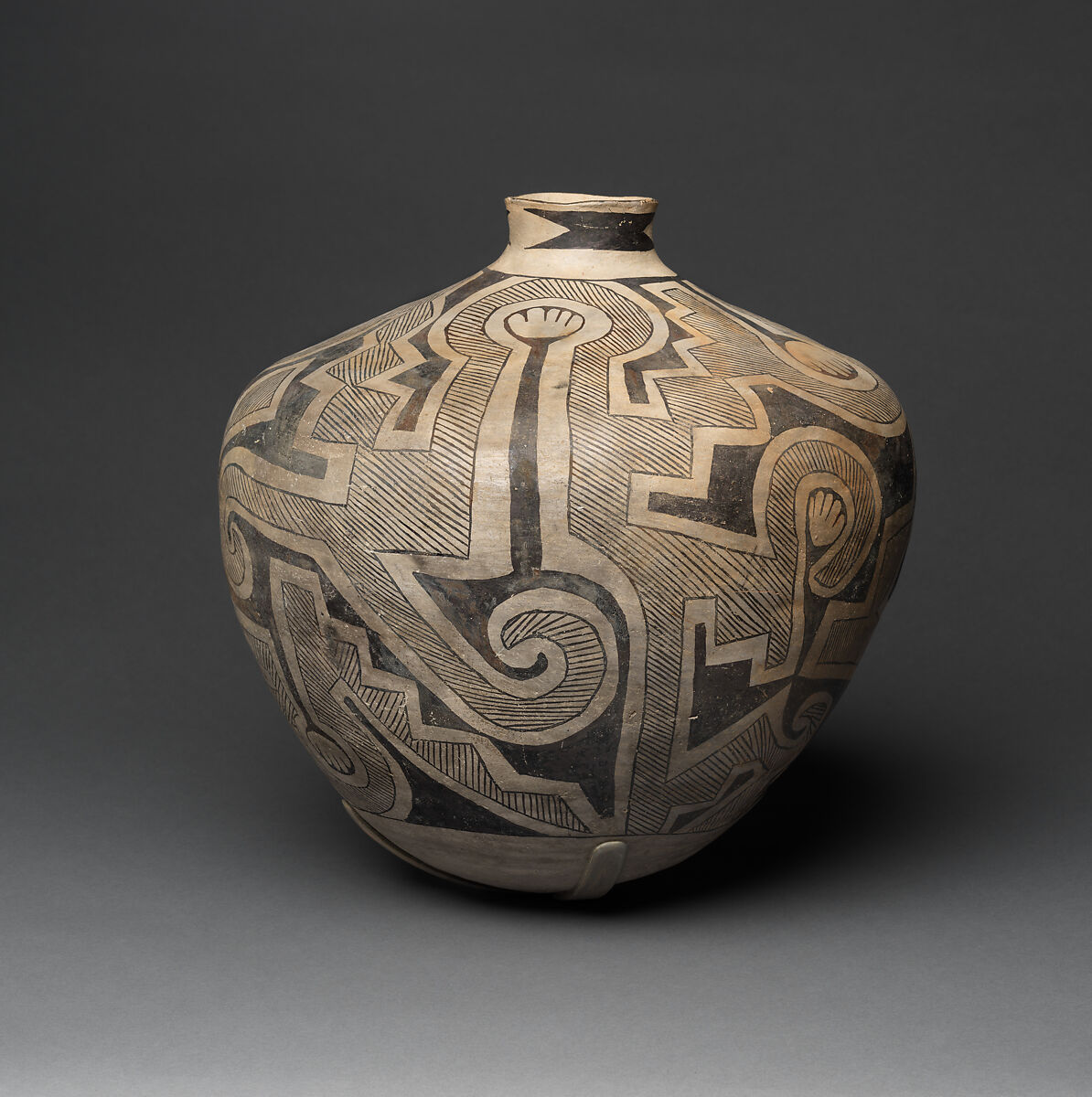 Socorro black-on-white storage jar, Clay and pigment, Ancestral Pueblo, Native American