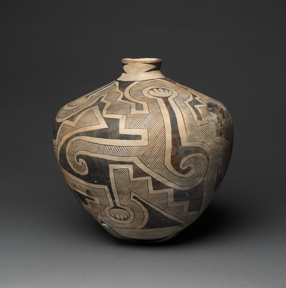 Socorro black-on-white storage jar, Clay and pigment, Ancestral Pueblo, Native American