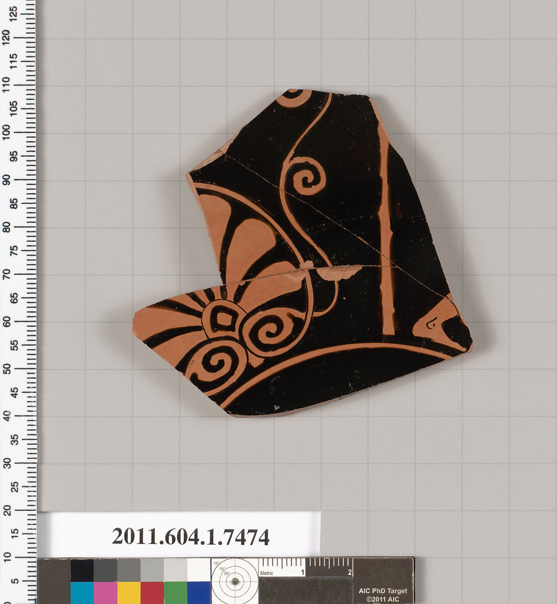 Terracotta fragment of a kylix (drinking cup), Terracotta, Greek, Attic