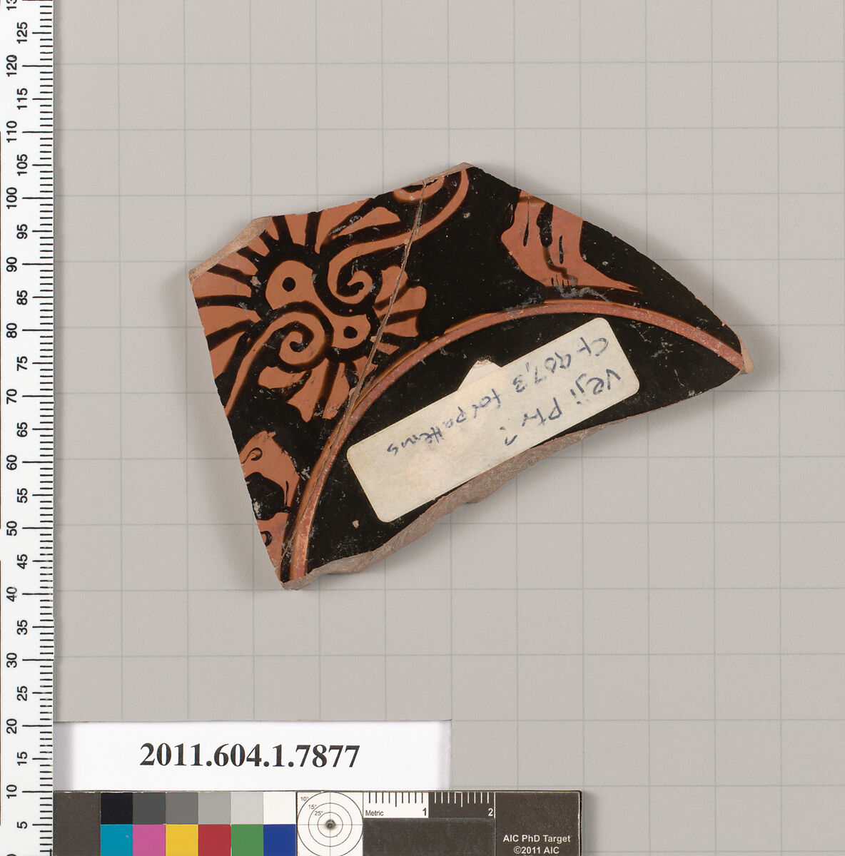 Terracotta fragment of a kylix (drinking cup), Attributed to the Veii Painter ? [DvB], Terracotta, Greek, Attic