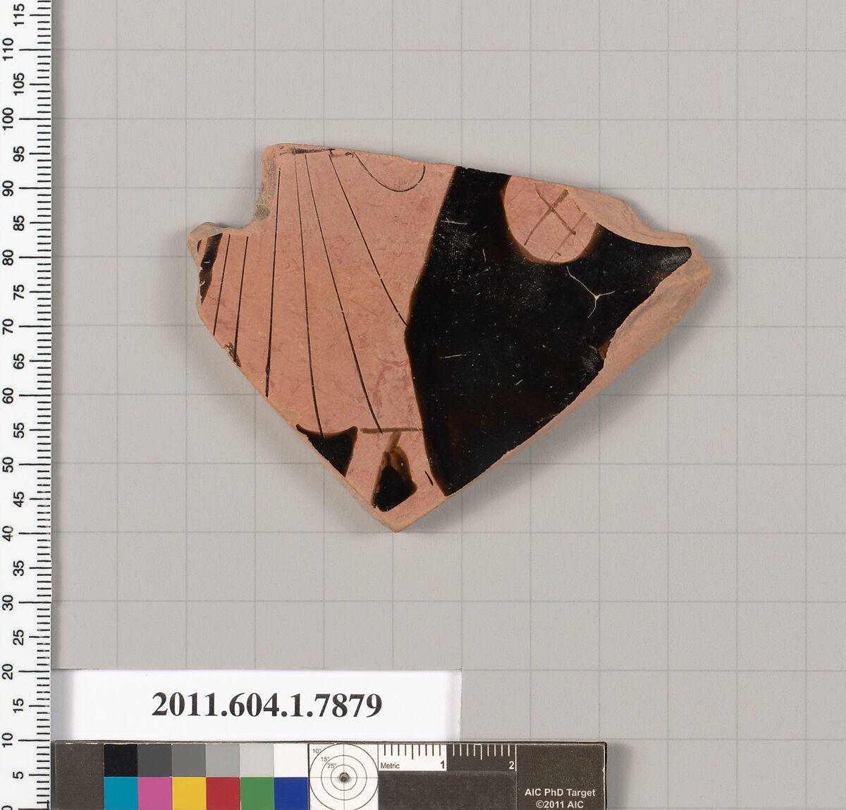 Terracotta fragment of a kylix (drinking cup), Attributed to the Veii Painter [DvB], Terracotta, Greek, Attic