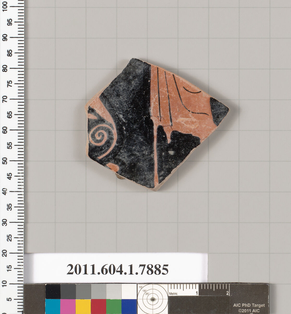 Terracotta fragment of a kylix (drinking cup), Attributed to the Veii Painter [DvB], Terracotta, Greek, Attic