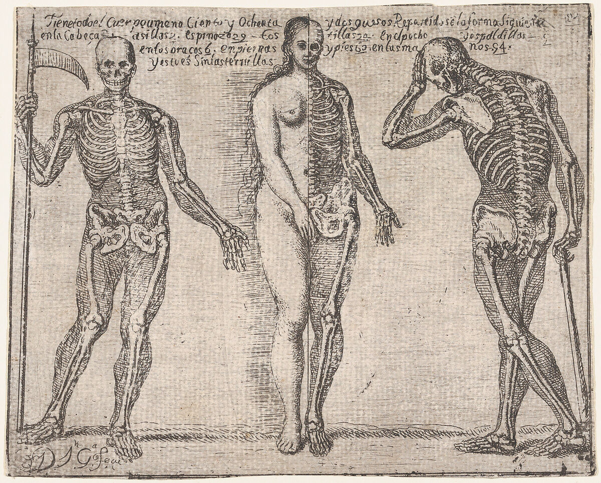 Studies of three skeleton, from the 'Principios para estudiar el Nobilísimo y Real arte de la Pintura' (Madrid 1693), José García Hidalgo (Spanish, Villena 1645–1717 Madrid), Etching 
