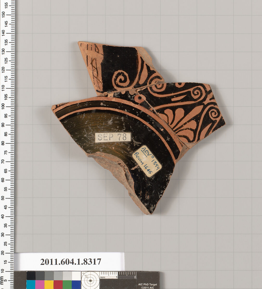 Terracotta fragment of a kylix (drinking cup), Terracotta, Greek, Attic