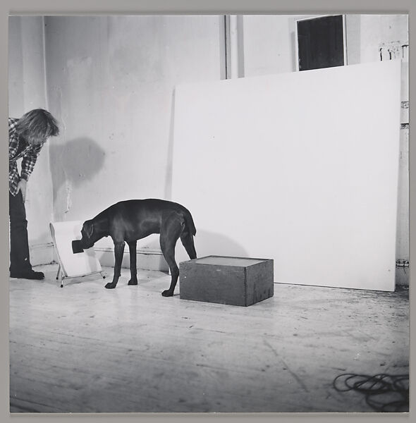 Before/On/After: Permutations I, William Wegman (American, born 1943), Gelatin silver prints 