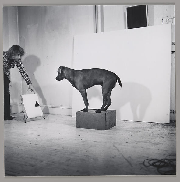 Before/On/After: Permutations I, William Wegman (American, born 1943), Gelatin silver prints