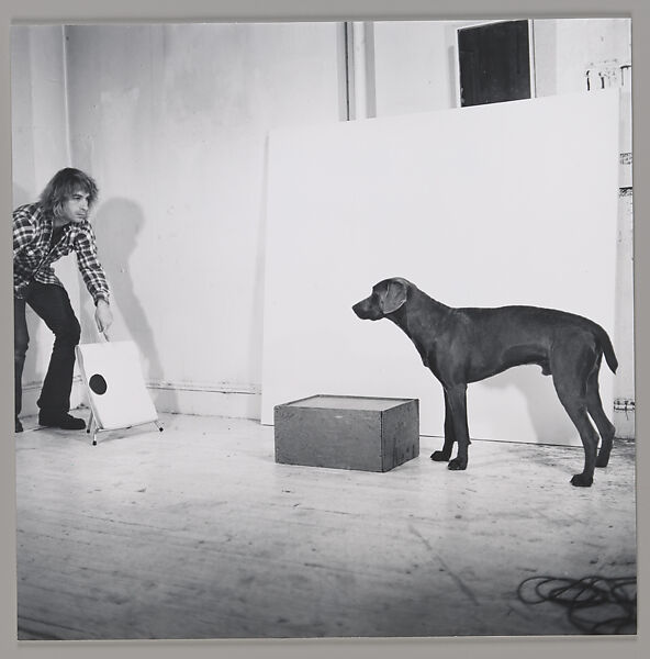 Before/On/After: Permutations I, William Wegman (American, born 1943), Gelatin silver prints