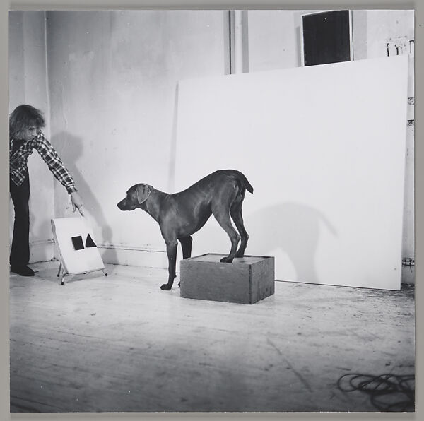 Before/On/After: Permutations I, William Wegman (American, born 1943), Gelatin silver prints