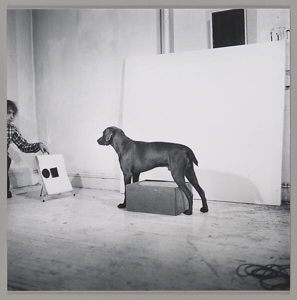 Before/On/After: Permutations I, William Wegman (American, born 1943), Gelatin silver prints