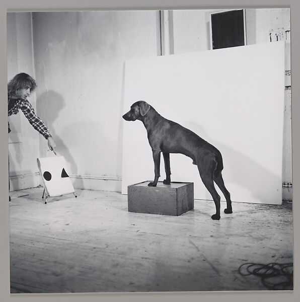 Before/On/After: Permutations I, William Wegman (American, born 1943), Gelatin silver prints