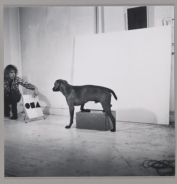 Before/On/After: Permutations I, William Wegman (American, born 1943), Gelatin silver prints