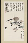 Mushrooms