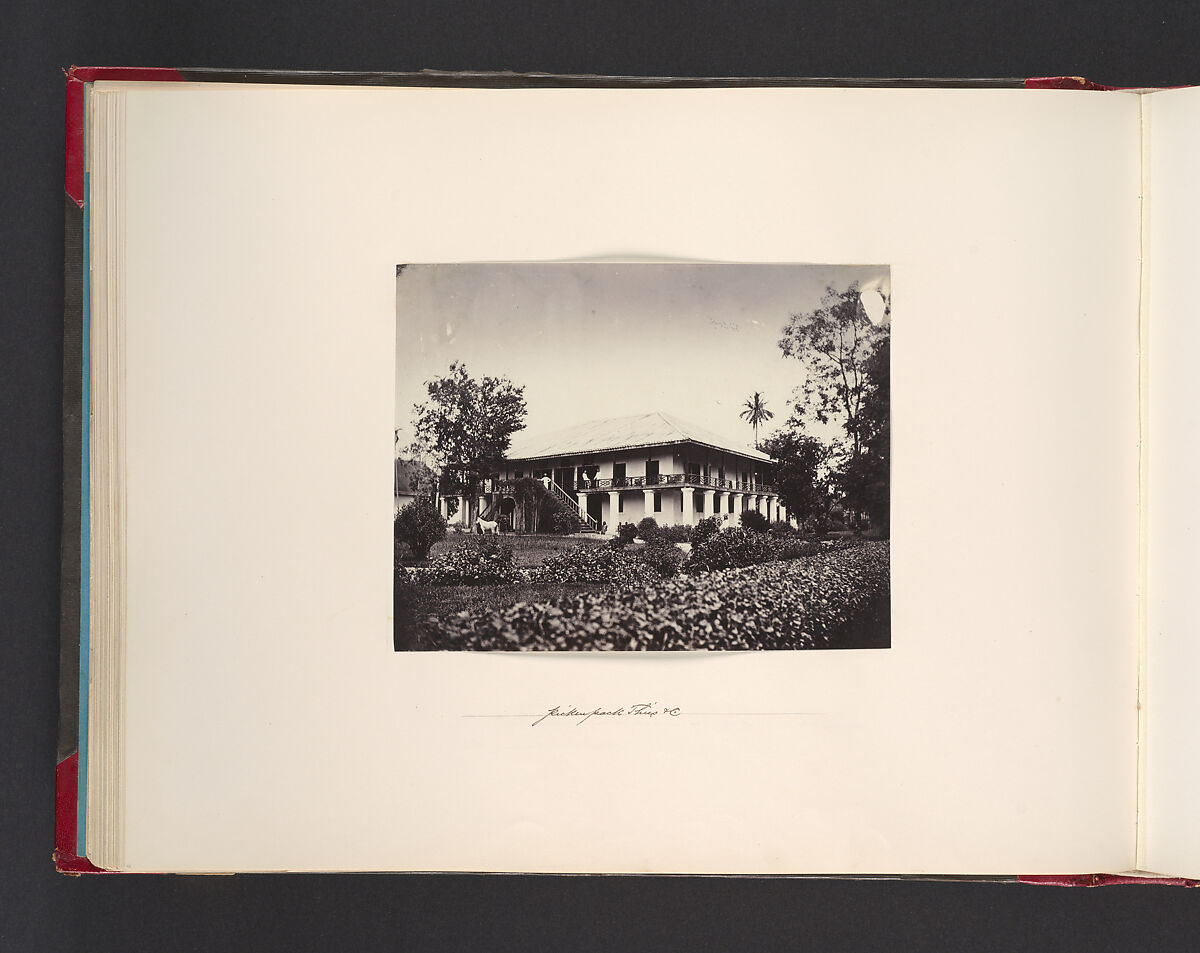 Pickenpack Thies & Co., Attributed to John Thomson (British, Edinburgh, Scotland 1837–1921 London), Albumen silver print from glass negative 