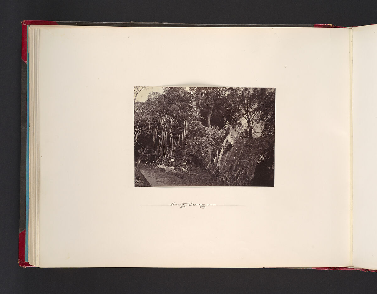 Country Scenery, Attributed to John Thomson (British, Edinburgh, Scotland 1837–1921 London), Albumen silver print from glass negative 