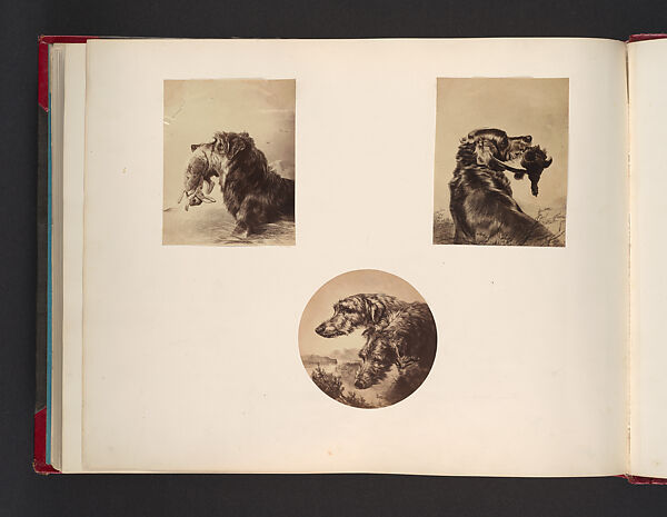 [Dogs], Attributed to John Thomson (British, Edinburgh, Scotland 1837–1921 London), Albumen silver print from glass negative 