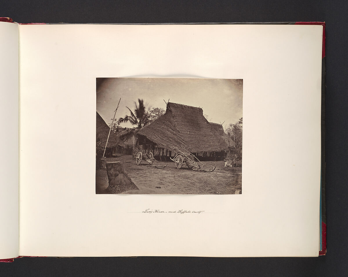 Laos House and Buffalo Carts, Attributed to John Thomson (British, Edinburgh, Scotland 1837–1921 London), Albumen silver print from glass negative 