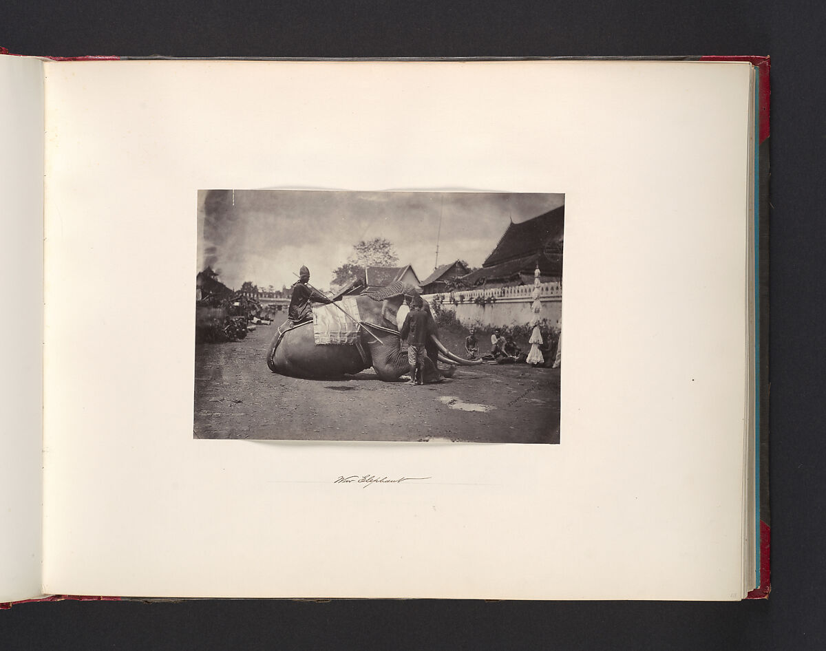 Wat Elephant, John Thomson (British, Edinburgh, Scotland 1837–1921 London), Albumen silver print from glass negative 