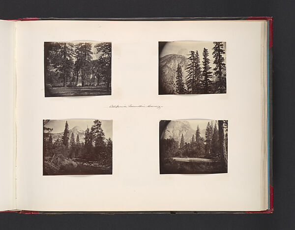 California Mountain Scenery, Attributed to John Thomson (British, Edinburgh, Scotland 1837–1921 London), Albumen silver print from glass negative 