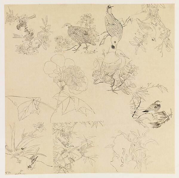 Plants, Flowers, and Birds, Xie Zhiliu (Chinese, 1910–1997), Drawing; ink on paper, China 
