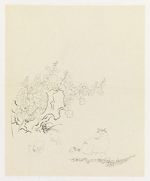 Flowering Plants, Cat and Three Kittens, Xie Zhiliu (Chinese, 1910–1997), Drawing; ink on paper, China 