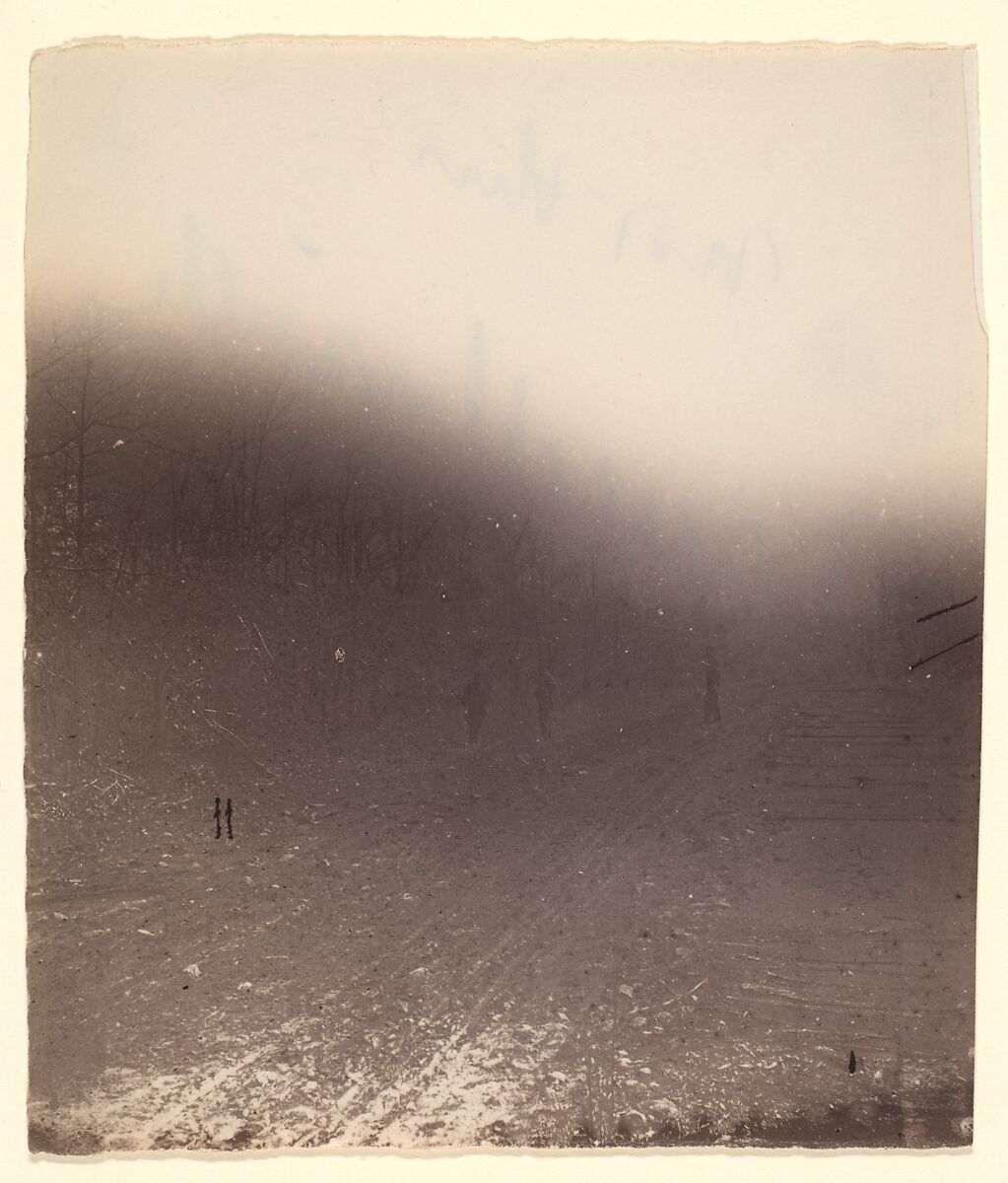 [The Wilderness Battlefield], Unknown (American), Albumen silver print from glass negative 