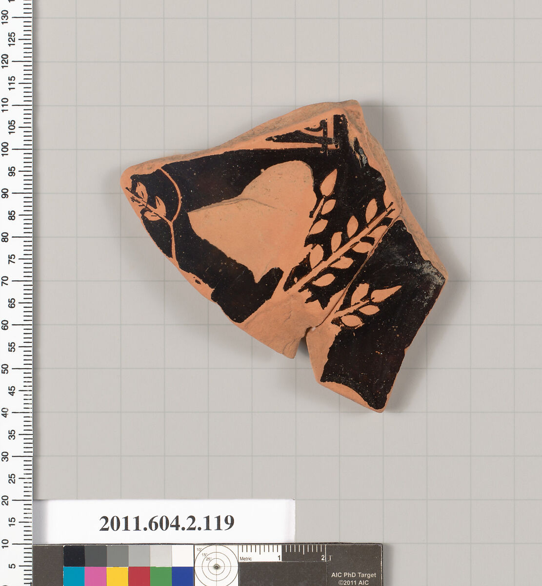 Terracotta fragment of a pelike (jar), Terracotta, Greek, Attic 