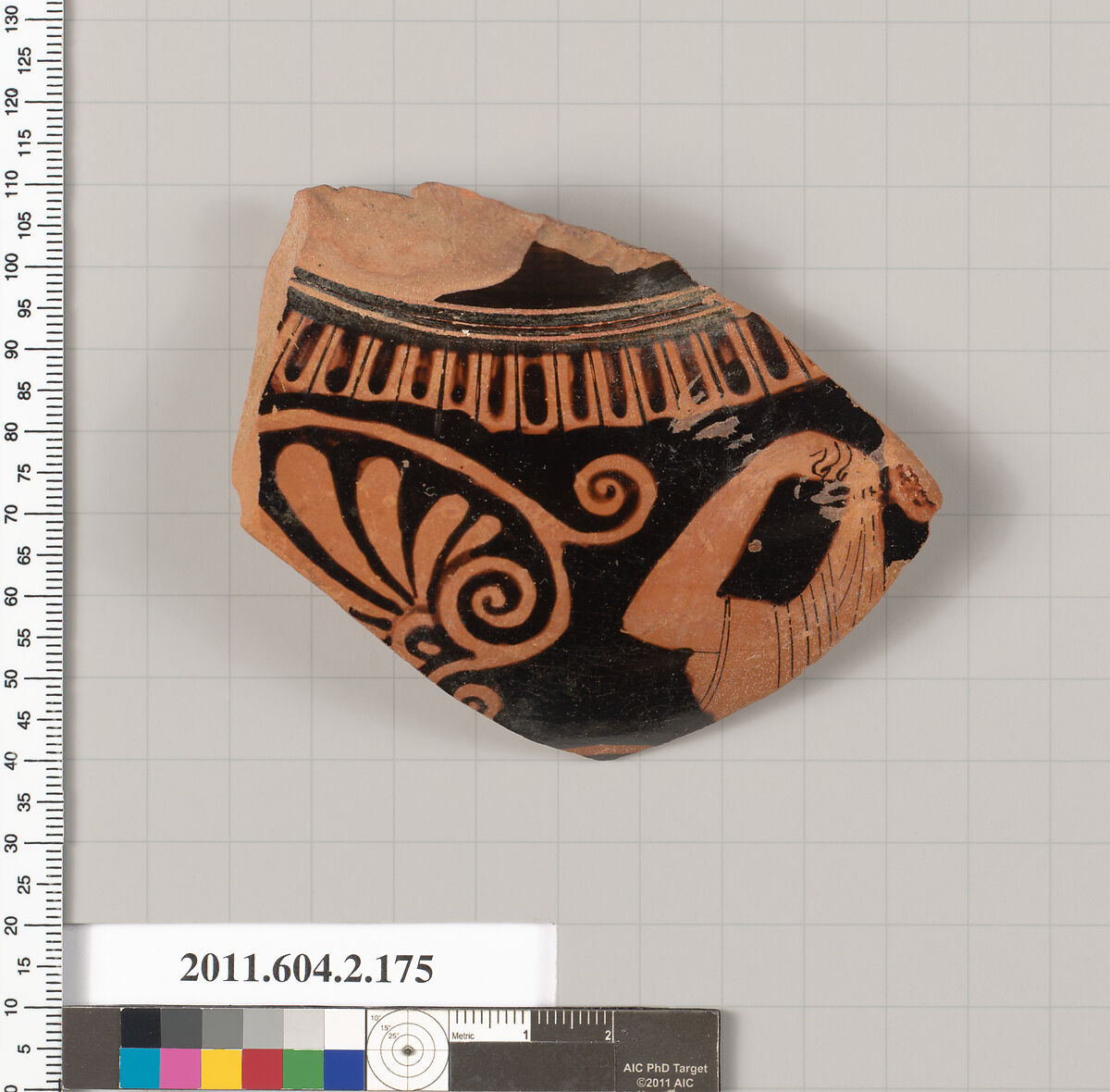 Terracotta fragment of a stamnos (jar), Terracotta, Greek, Attic 