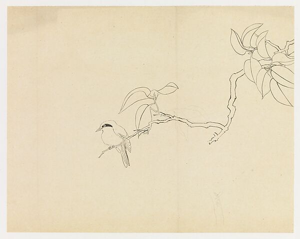 Bird on a Branch, Xie Zhiliu (Chinese, 1910–1997), Drawing; pencil and ink over pencil on paper, China 