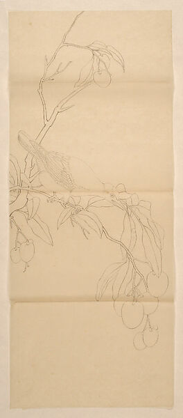 Mynah and Lychee, Xie Zhiliu (Chinese, 1910–1997), Drawing; ink on paper, China 