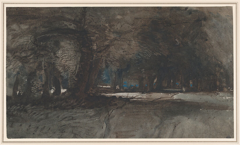 A woodland scene at dusk (recto); A study of trees and foliage (verso)