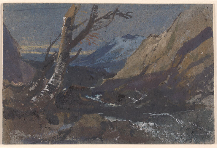 Study of trees by a mountain stream