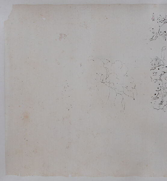 Landscape and Plant Studies, Xie Zhiliu (Chinese, 1910–1997), Drawing; ink on transparent paper, China
