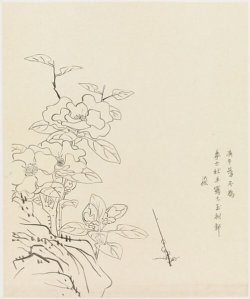 Camellia and Rock, after Chen Hongshou, Xie Zhiliu (Chinese, 1910–1997), Drawing mounted as a hanging scroll; ink on paper, China 