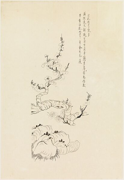 Blossoming Plum, after Chen Hongshou, Xie Zhiliu (Chinese, 1910–1997), Drawing mounted as a hanging scroll; ink on paper, China 