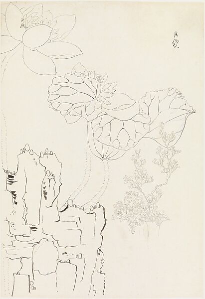 Lotus, Rock, and Flower Study, after Chen Hongshou, Xie Zhiliu (Chinese, 1910–1997), Drawing; ink on paper, China 