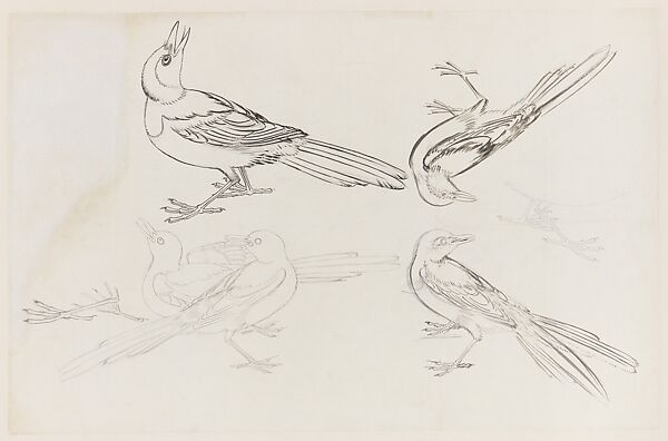 Birds, Xie Zhiliu (Chinese, 1910–1997), Drawing; pencil and ink on paper, China 