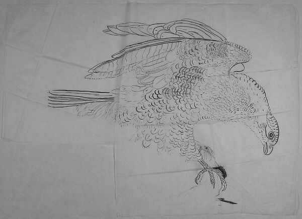 Bird, Xie Zhiliu (Chinese, 1910–1997), Drawing; ink on paper, China 