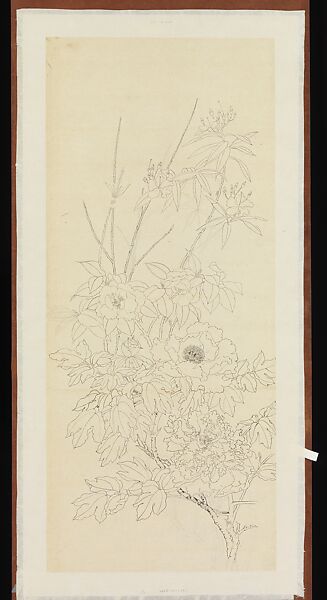 Peonies and Mountain Laurel, Xie Zhiliu (Chinese, 1910–1997), Drawing mounted as a hanging scroll; ink and charcoal underdrawing on paper, China 