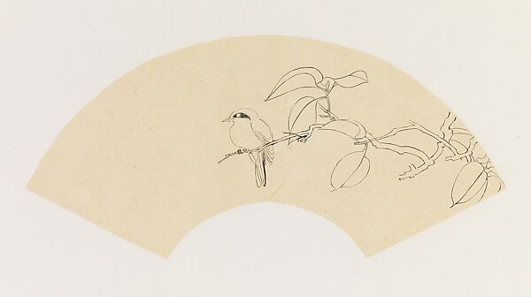Bird on a Branch, Xie Zhiliu (Chinese, 1910–1997), Drawing; ink over pencil on tracing paper, China 
