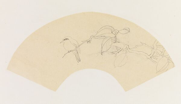 Bird on a Branch, Xie Zhiliu (Chinese, 1910–1997), Drawing; pencil on tracing paper, China 