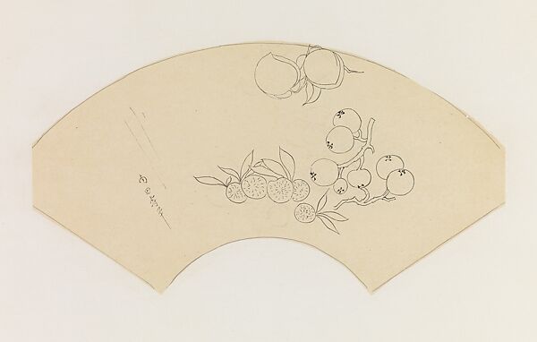 Lychees, Longyan, and Peaches, after Yun Shouping, Xie Zhiliu (Chinese, 1910–1997), Drawing; pencil and ink on tracing paper, China 